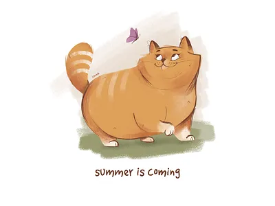 Cute Ginger Cat 2d illustration art cat character cutecat drawing gingercat illustration procreate procreateart summer summeriscoming