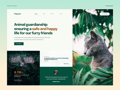 Petguard Homescreen UI UX banner hero layout ui ux web webdesign website