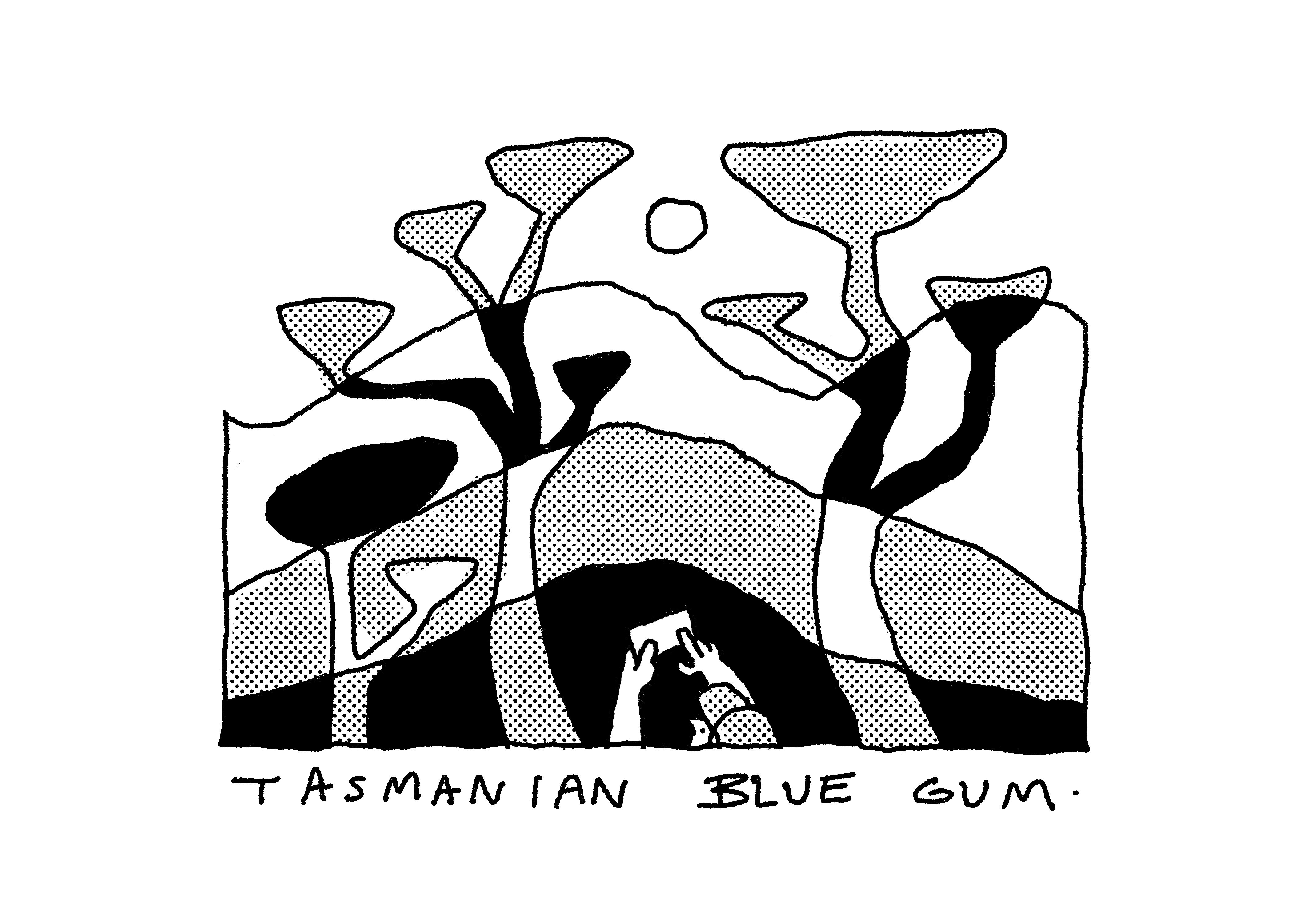 Example of Tasmanian Blue Gum