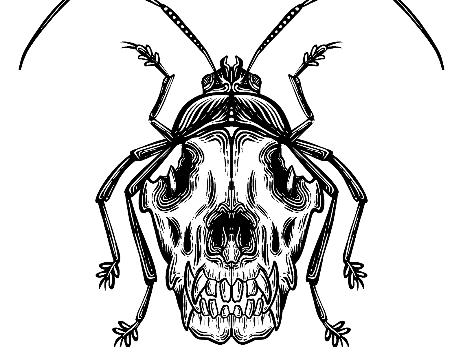 Skull Bugs by Tatiana Gibbs on Dribbble