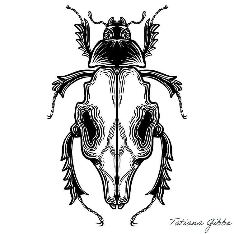 Skull Bugs by Tatiana Gibbs on Dribbble