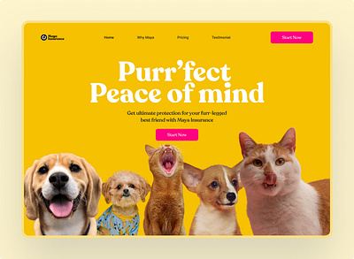 Hero Section of a Pet Insurance website hero section insurance pet web design