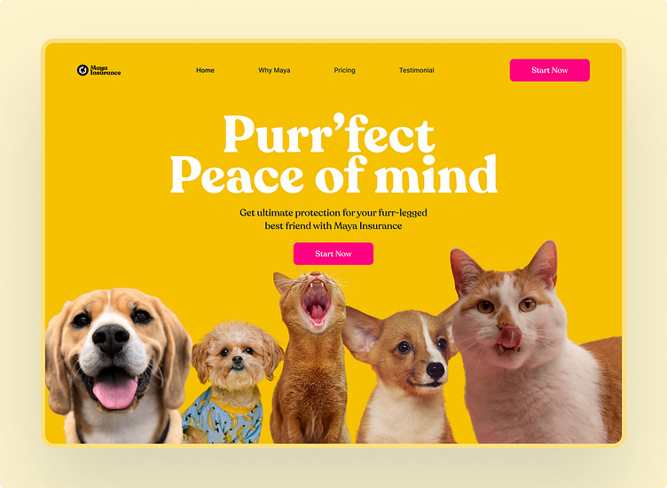 Hero Section of a Pet Insurance website by Ozioma Sarah Eze on Dribbble