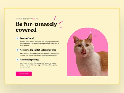 Benefits section of a pet insurance website benefits design insurance pet website