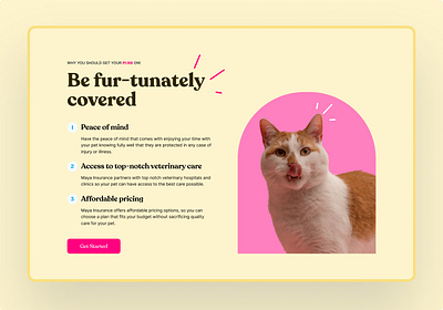 Benefits section of a pet insurance website benefits design insurance pet website