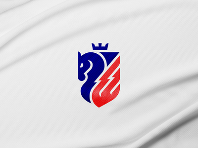 FC Botosani Rebranding branding cluj napoca fc botosani fcbt football horse logo rebranding sports symbold team wing