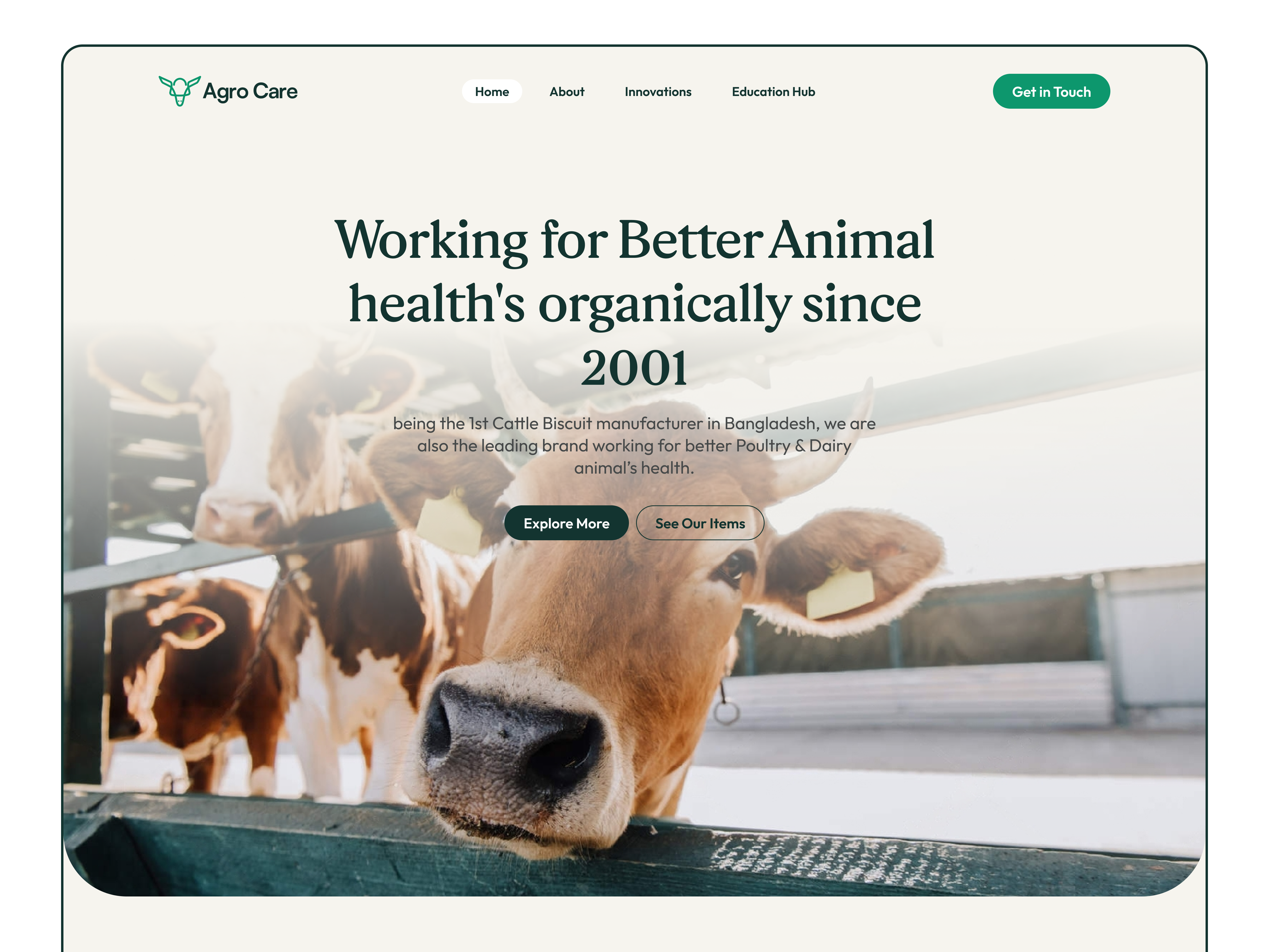 Website Homepage Redesign blue home page hero section minimal pet homepage vet homepage website homepage