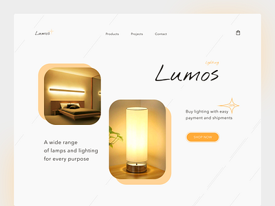 Lamps and Lighting Website Homepage design ui website