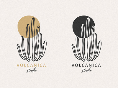 Logo "Volcanica studio" branding cactus design graphic design hand drawn illustration logo nature organic plant plant logo vector