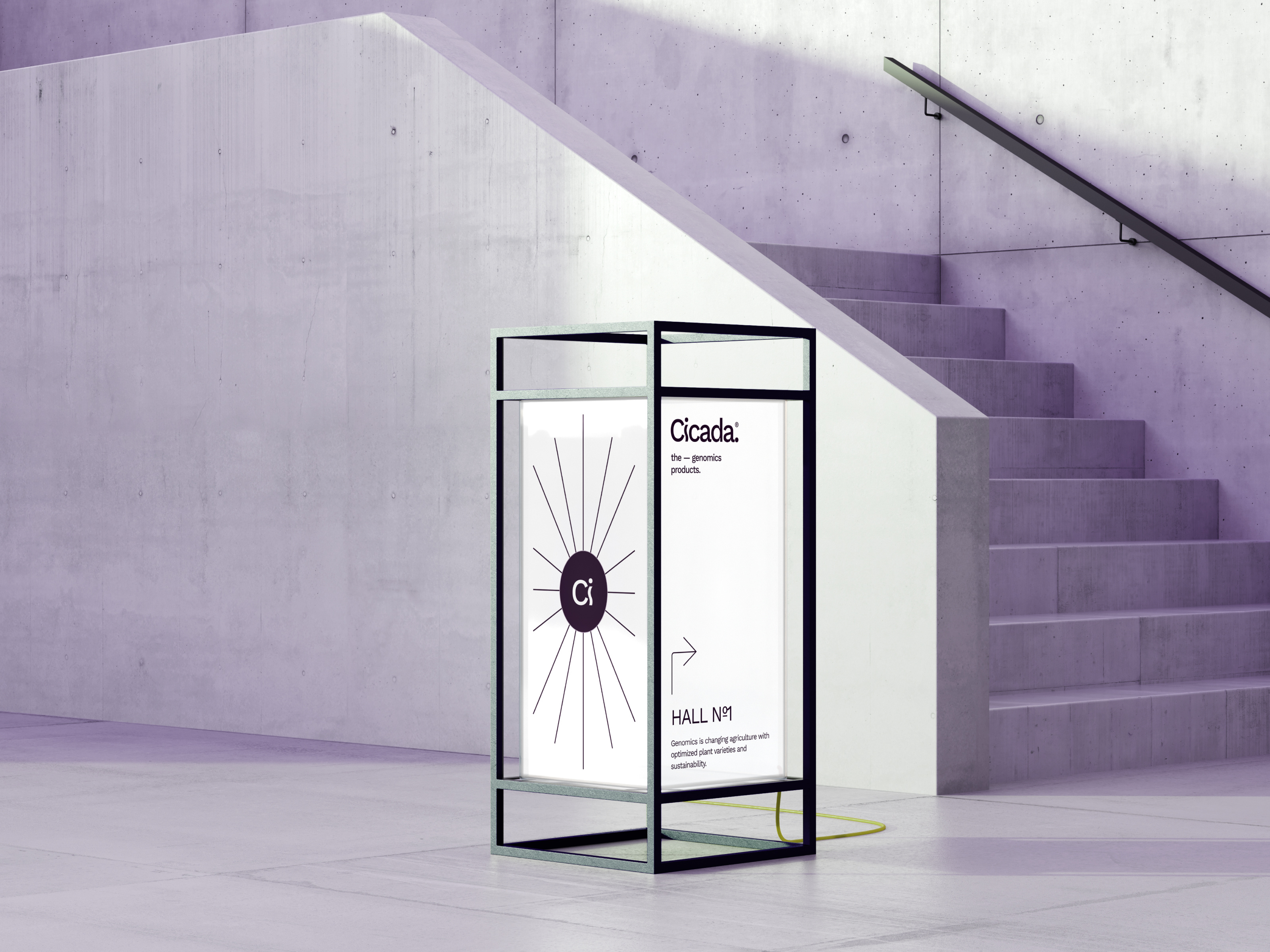 Example of Branding Design + Brand Identity Package