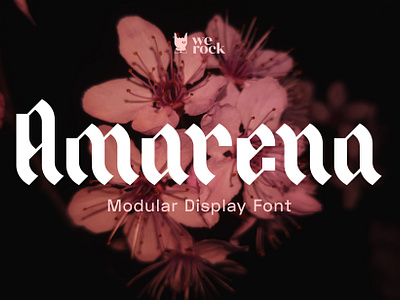 Amarena Display Font blackletter cherry design display font gothic lettering modular type typeface typography werock