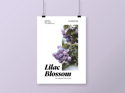 Poster for the Botanical Garden ai design graphic design layout poster ps typography