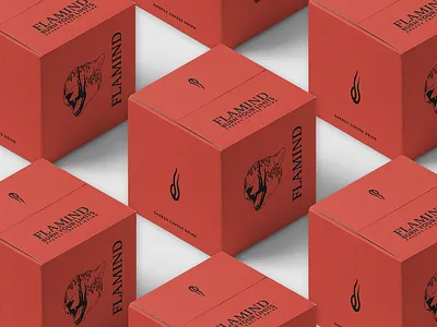 Flamind boxdesign branding cheetah coffee energydrink fire flame graphic design illustrator logo packaging packaging design