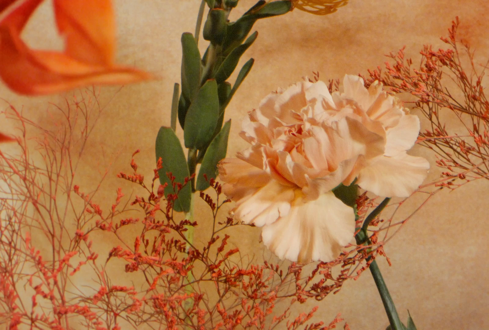 A motion control film featuring Byredo by Amy CURRELL by JSR Agency on Dribbble