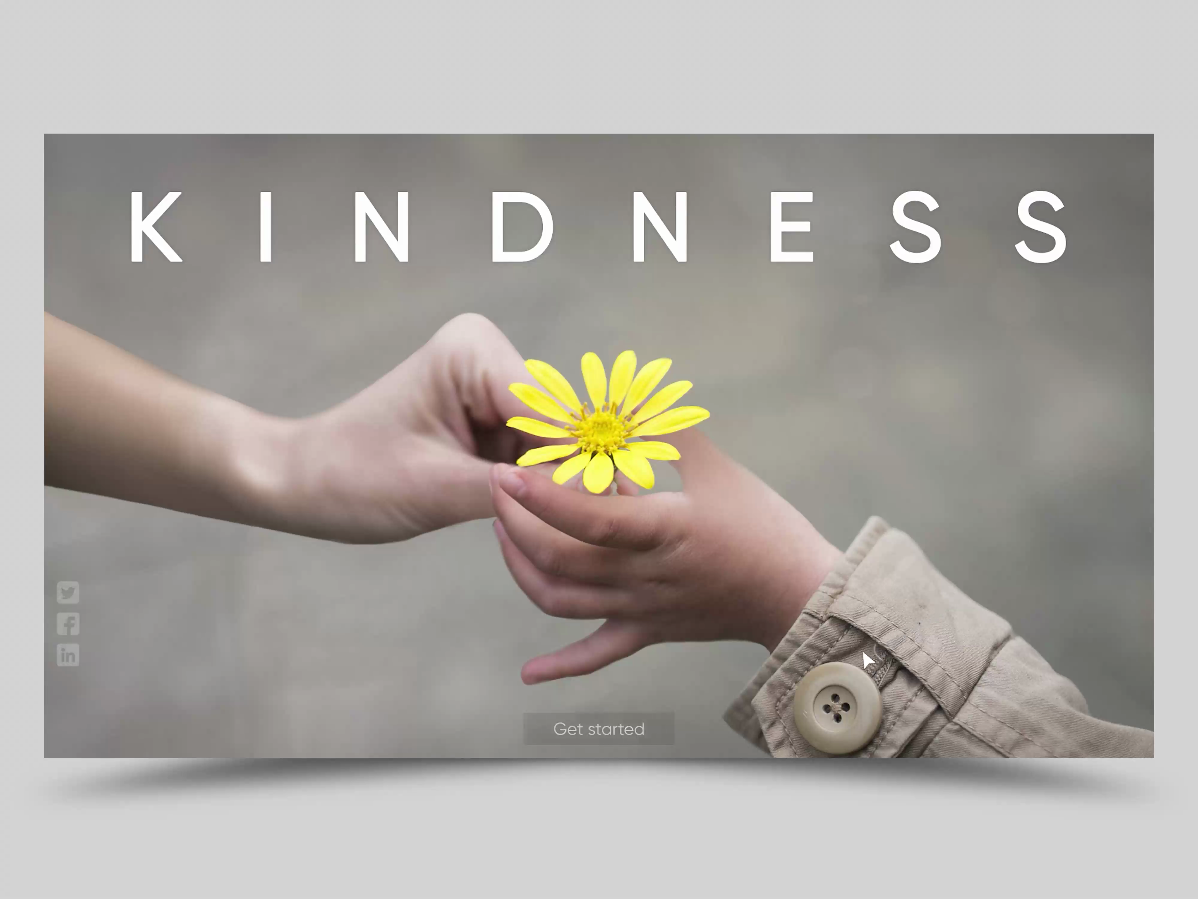 Kindness - Donate Platform Website animation donate figma flower graphic design motion graphics ui ux website