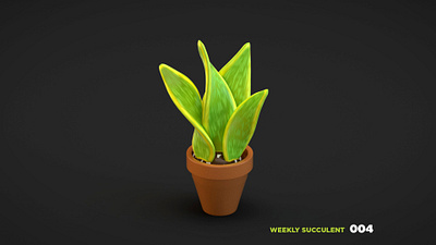 Weekly Succulent 004 3d blender c4d cinema 4d houseplant lowpolly plant render
