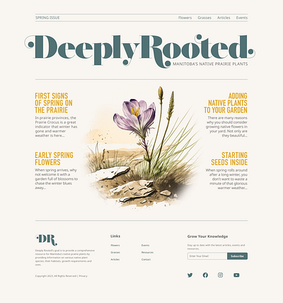Deeply Rooted Home Page blog home page landing page ui ux web design website