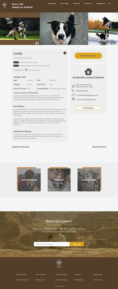 AMI Dog Profile design graphic design ui ux ux design