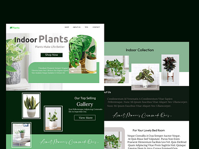 indoor plant web design design indoor plants ui ux web design