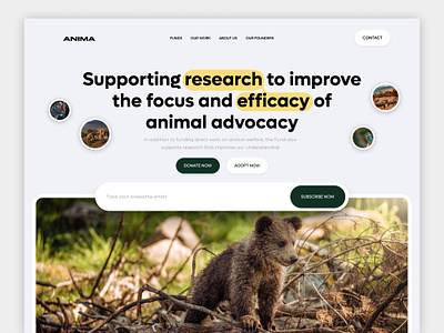 Anima- Animal Fund Web UI animal animal lover design fund home minimal nature popular ui ux web wildlife