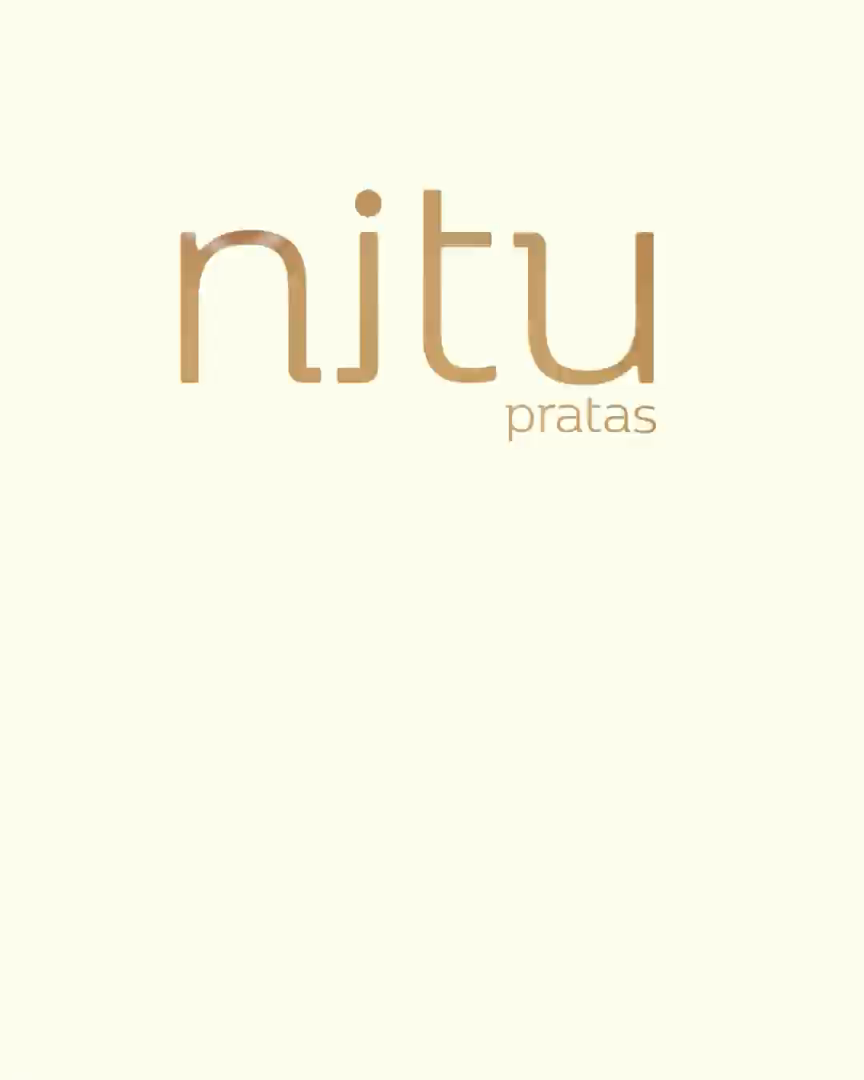Example of Logo Animation for Nitu Pratas