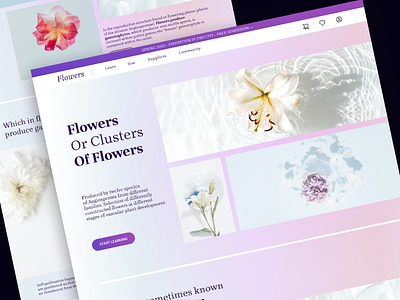 Flower Foundation branding design graphic design inteface ottawa web design ui ux