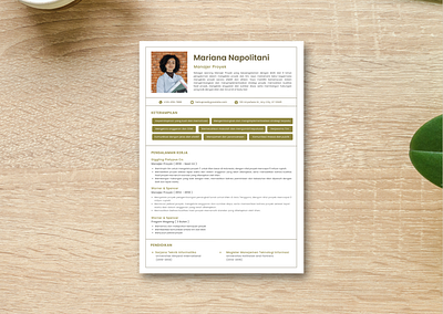 Resum Profesional Manager Project branding canva canvatemplate curriculum vitae cv design design graphic v graphic design jobsearch personalbrand