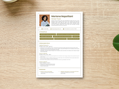 Resum Profesional Manager Project branding canva canvatemplate curriculum vitae cv design design graphic v graphic design jobsearch personalbrand