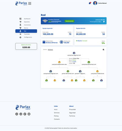 Netword web site - Crypto system investment app bank crypto design interface logo ui ux