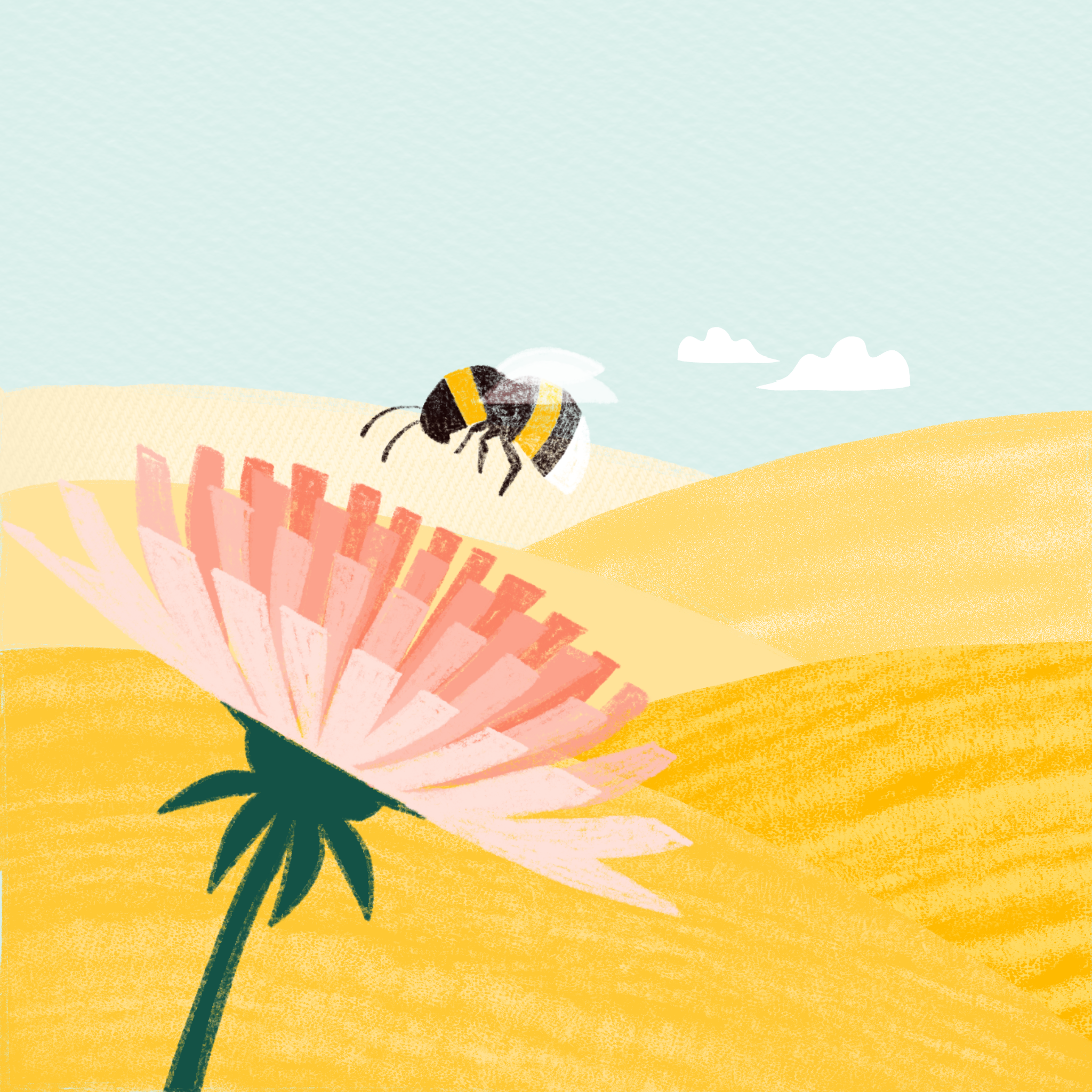 Organic elements branding design eco farming figma figma design figma draw green illustration motion graphics organic procreate red sustainable ui uiux us certificate yellow