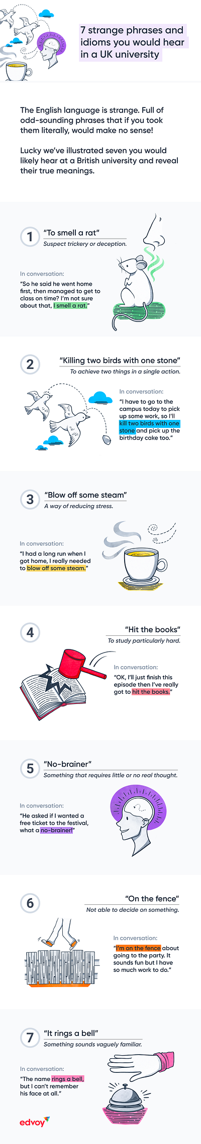 7 Strange phrases - Illustrated Infographic for Edvoy digital art drawing edvoy idioms illustration infographic ipad pro metaphors procreate