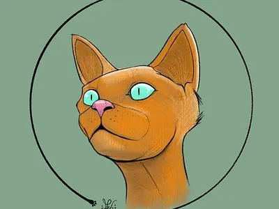 Kitty #1 cat drawing illustration pencil procreate