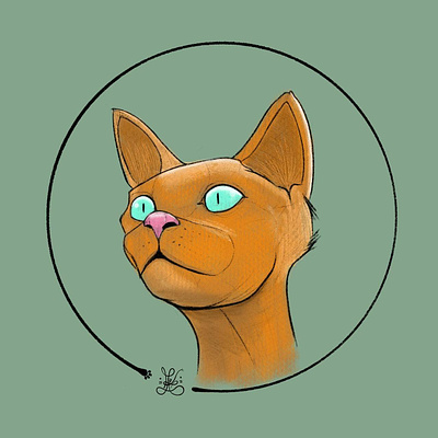 Kitty #1 cat drawing illustration pencil procreate