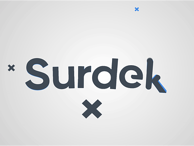 Surdek Logo Animation branding design animation logo logo animation motion graphics