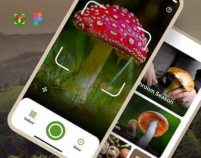 Mushroom Finder UI android design finder forest interface ios mushrooms nature ui