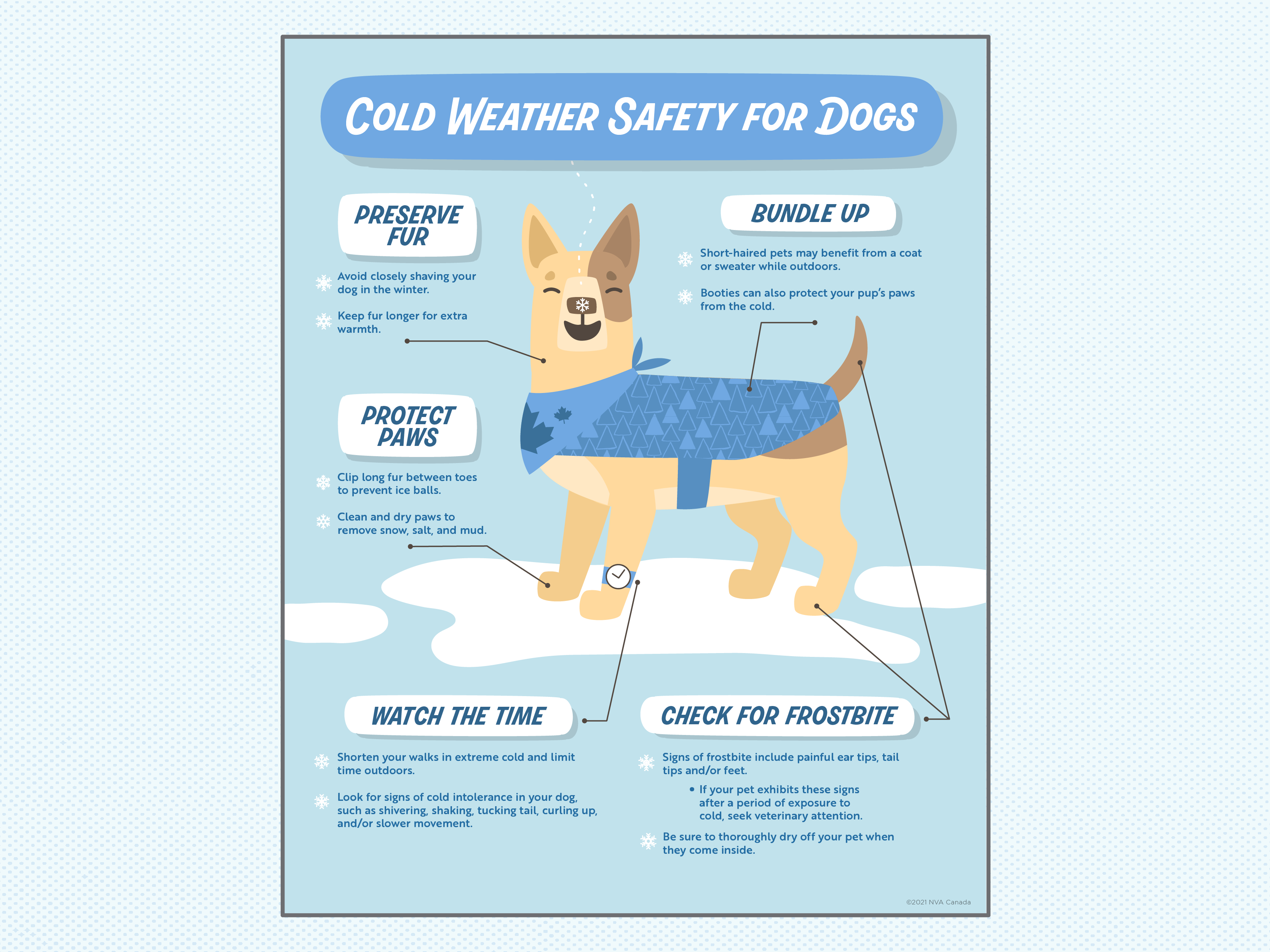 Cold Weather Safety For Dogs Infographic By Madeline On Dribbble