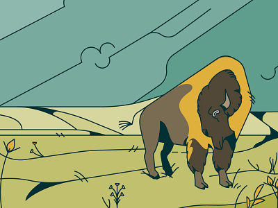 On the Plains bison buffalo character design illustration plains vector