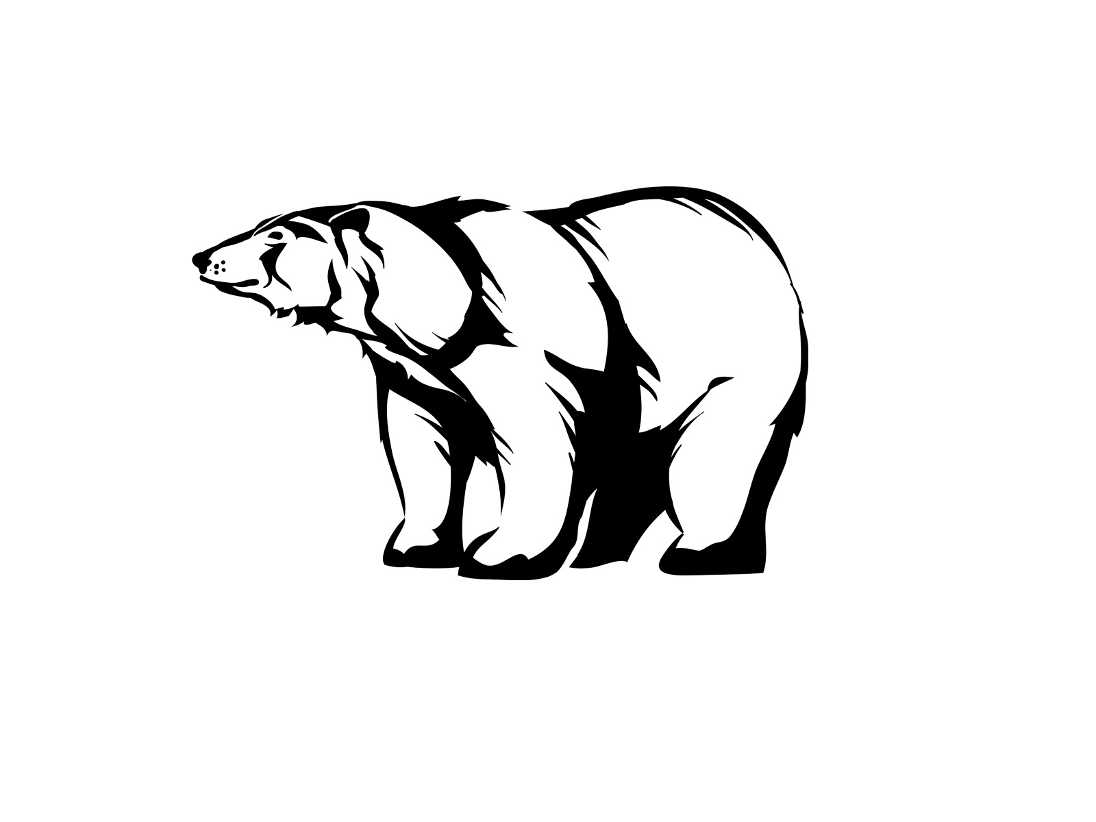 Polar Bear by Kopirin on Dribbble