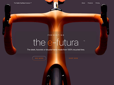 The e-futura bicycle e bicycle landing page ui website