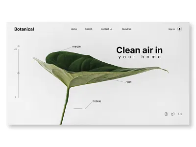 Botanical plant 3d animation app botanical plant branding car design graphic design illustration logo plant ui