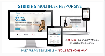 Striking - MultiFlex & Ecommerce Responsive WP Theme website theme