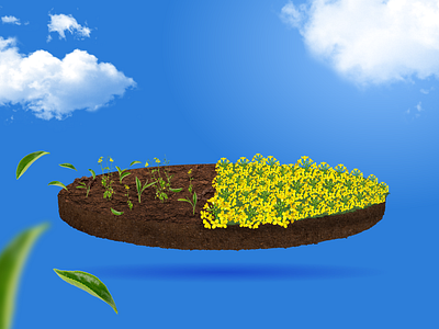 Rapeseed Hybrid 3d ads advertising agriculture illustration photoshop rapeseed social media