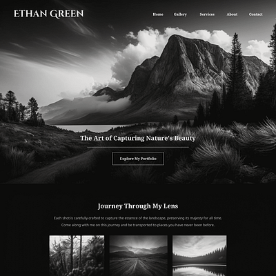 Photographer - Website UI Design branding concept design ui