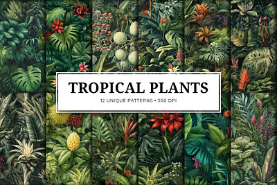 TROPICAL PLANTS PATTERNS - SET 01 flower graphic design patterns plant tropical plant