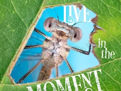 Live in the Moment design graphic design