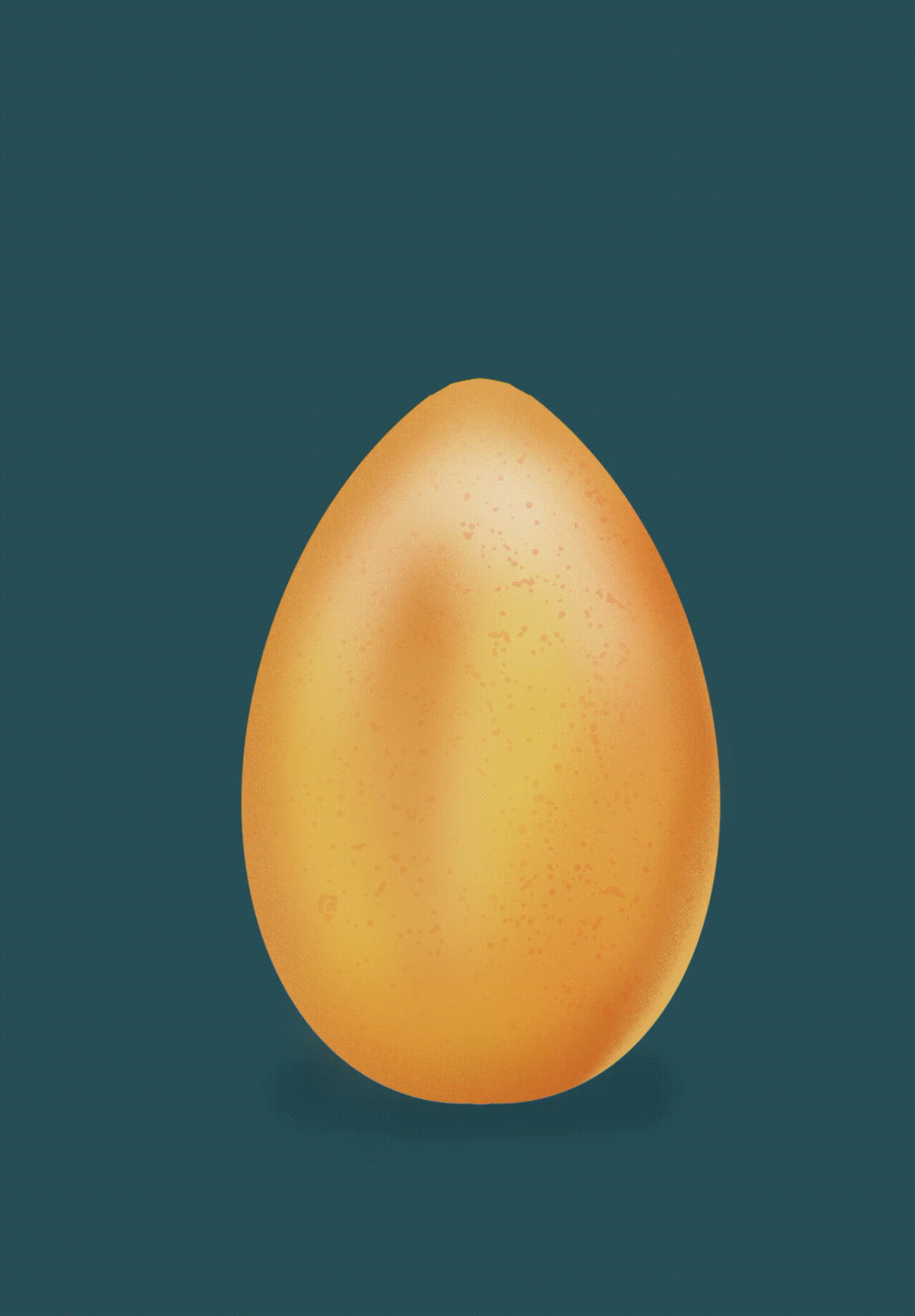 Chicken and Egg Animation animation chicken design egg framebyframe graphic design illustration motion graphics procreate