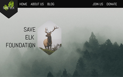 Save Elk Website design graphic design web design