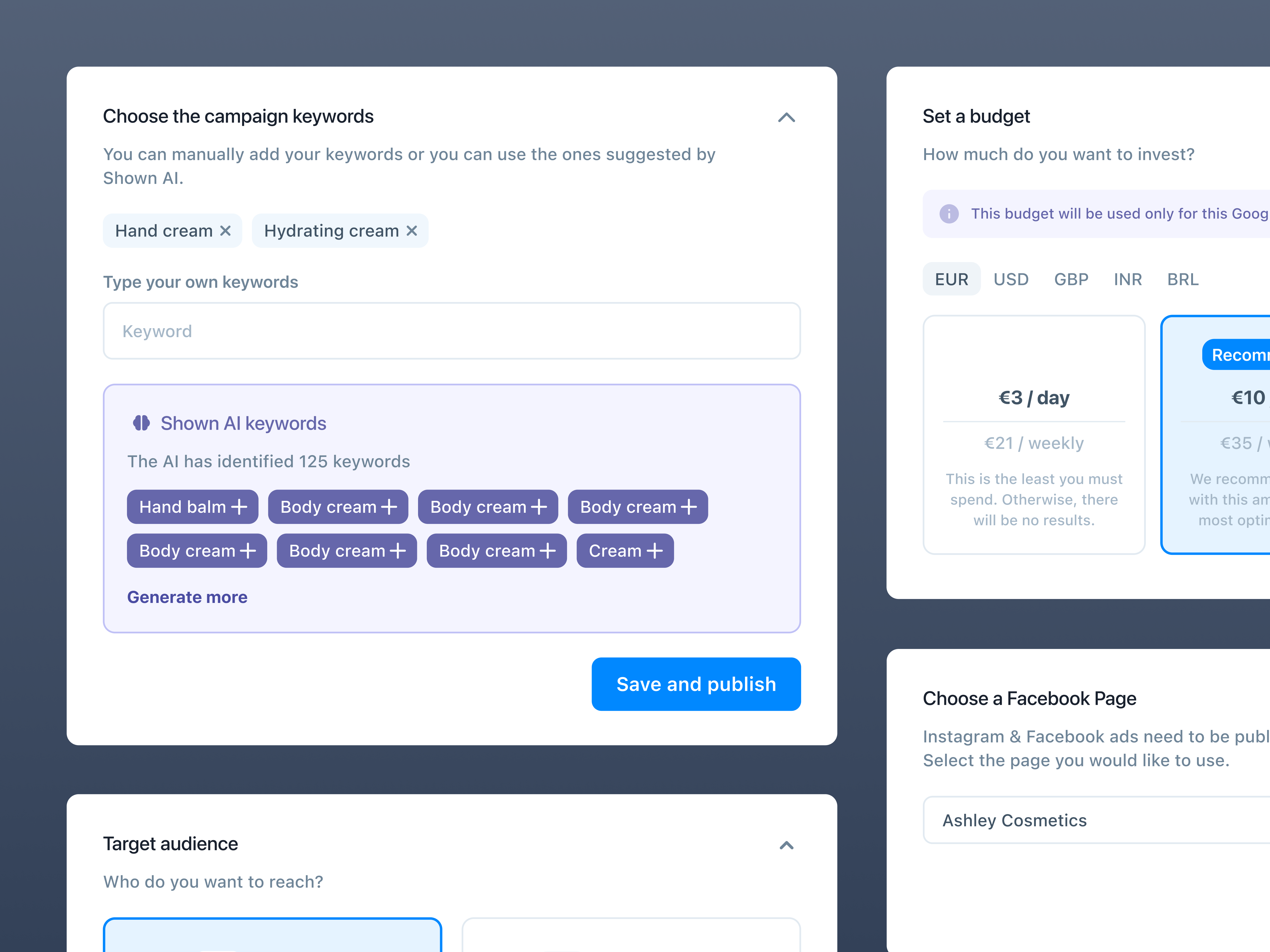 Example of Shown AI • Create a new ad campaign flow