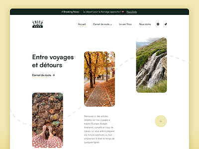Trico on the Road branding design homepage ui ux webdesign