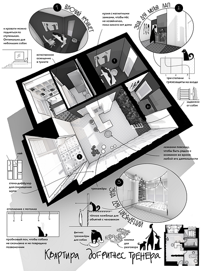 Apartment of a dog fitness trainer graphic design illustration